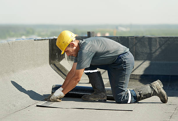 Best Geographic-Specific Insulation Services in Jamesport, NY